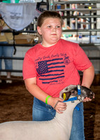 2022-07-13 LCF Jr. Lamb Show #1-LB-14