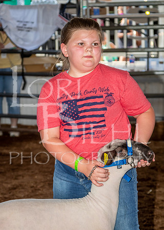 2022-07-13 LCF Jr. Lamb Show #1-LB-14