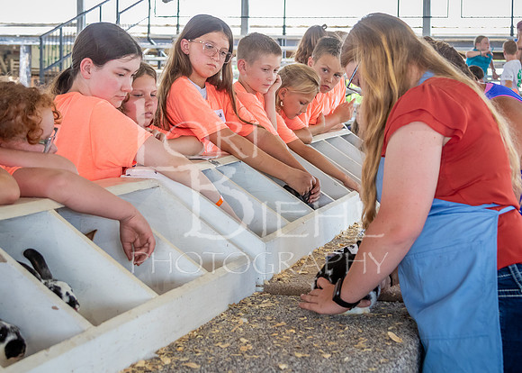 2024-07-08 LCF Jr. Rabbit Show #1 - LB-83