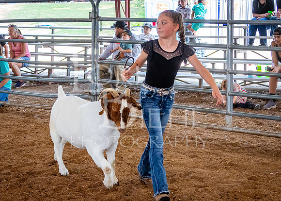2024-07-12 LCF Open Breeding Goat Show #1 - LB-187