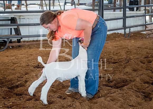 2024-07-10 LCF Jr. Goat Show #1 - LB-32