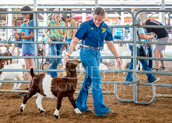 2024-07-12 LCF Open Breeding Goat Show #1 - LB-88