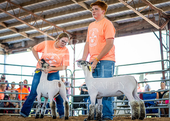 2024-07-10 LCF Jr. Sheep Show #1 - CH-23