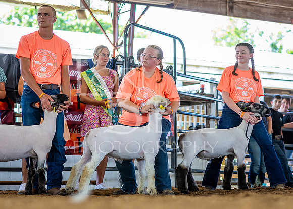 2024-07-10 LCF Jr. Sheep Show #1 - CH-33