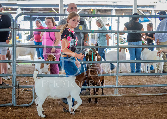 2024-07-12 LCF Open Breeding Goat Show #1 - LB-67