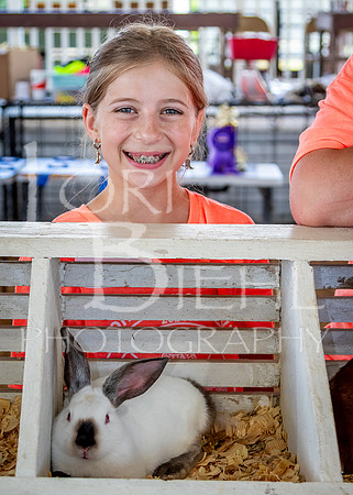 2024-07-08 LCF Jr. Rabbit Show #1 - LB-62