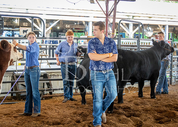 2024-07-10 LCF Master Showmanship #1 - LB-24