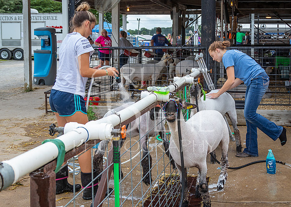 2021-07-15 LCF Livestock Auction Flag Ceremony & Misc - LB-3