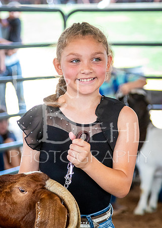 2024-07-12 LCF Open Breeding Goat Show #1 - LB-178