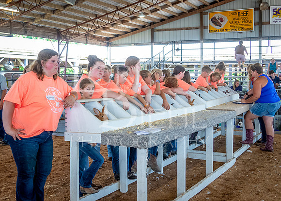 2024-07-08 LCF Jr. Rabbit Show #1 - LB-82