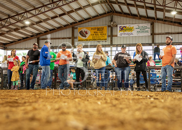 2024-07-09 LCF Jr. Swine Show #1 - CH-44