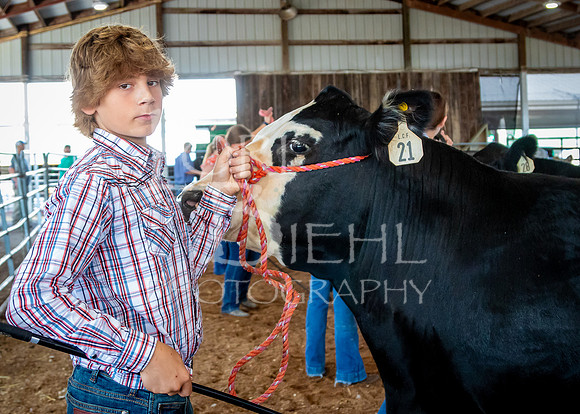 2024-07-10 LCF Master Showmanship #1 - LB-16