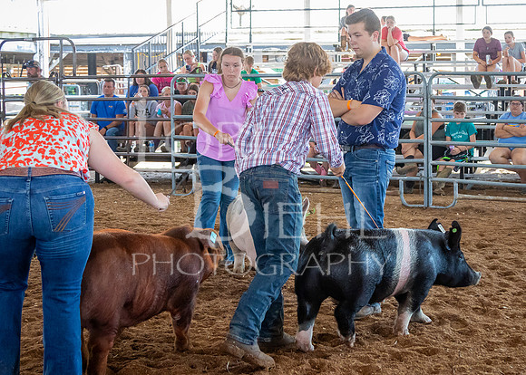 2024-07-10 LCF Master Showmanship #1 - LB-47
