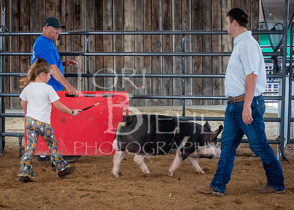 2024-07-12 LCF Open Breeding Swine Show #1 - LB-20
