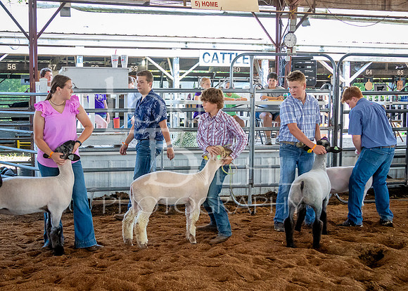 2024-07-10 LCF Master Showmanship #1 - LB-3