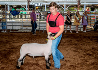 2022-07-13 LCF Jr. Lamb Show #1-LB-27