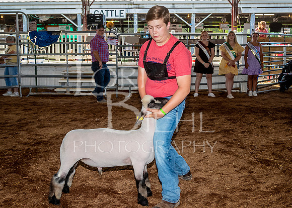 2022-07-13 LCF Jr. Lamb Show #1-LB-27