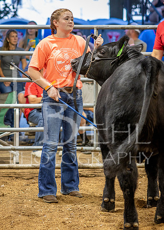2024-07-10 LCF Jr. Steer Show #1 - CH-24
