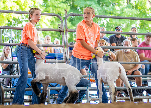 2024-07-10 LCF Jr. Sheep Show #1 - CH-8