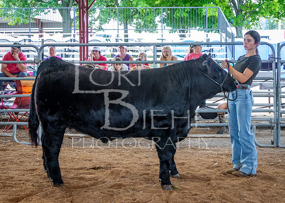2024-07-11 LCF Jackpot Steer Show #1 - LB-49