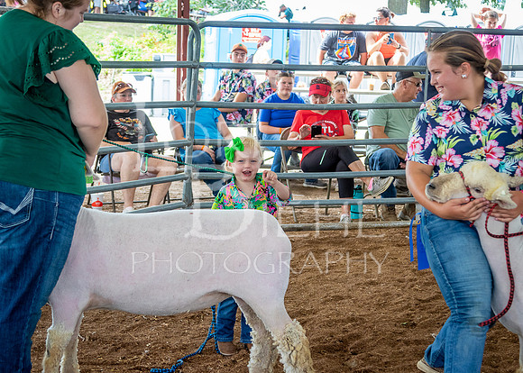 2024-07-13 LCF Open Breeding Sheep Show #1 - LB-74