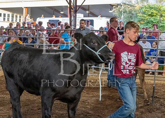 2019-07-10 Jr. Cattle Show - LB-27