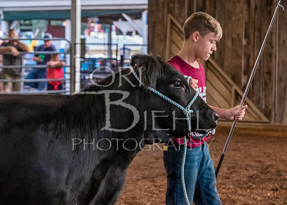 2019-07-10 Jr. Cattle Show - LB-28