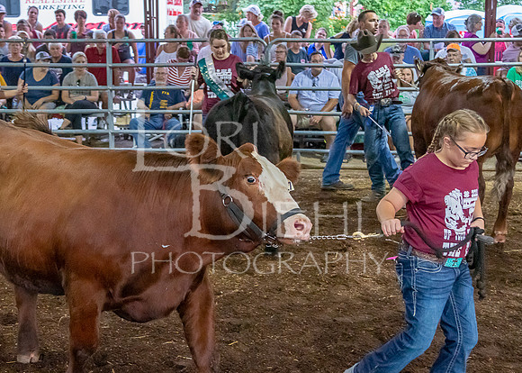 2019-07-10 Jr. Cattle Show - LB-31