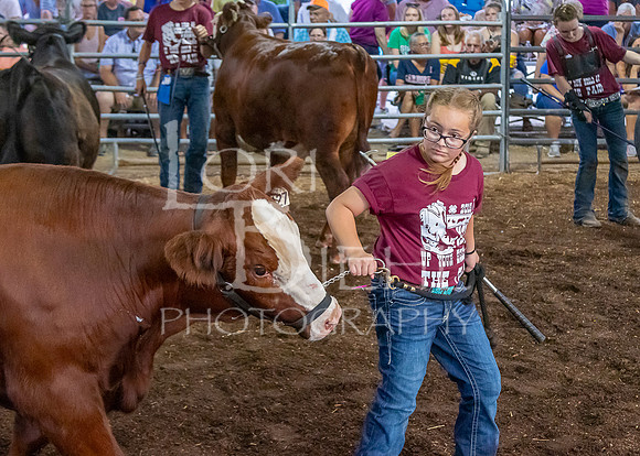 2019-07-10 Jr. Cattle Show - LB-32