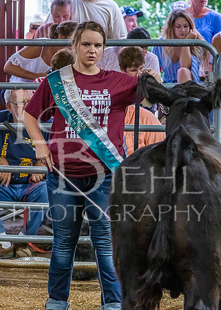 2019-07-10 Jr. Cattle Show - LB-33