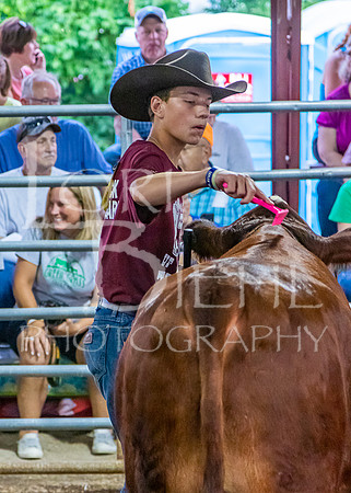 2019-07-10 Jr. Cattle Show - LB-36