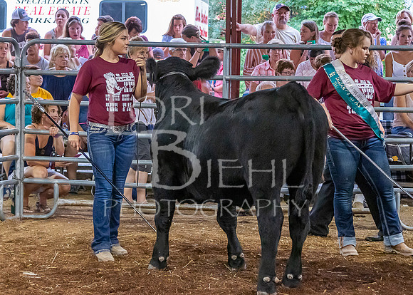 2019-07-10 Jr. Cattle Show - LB-38
