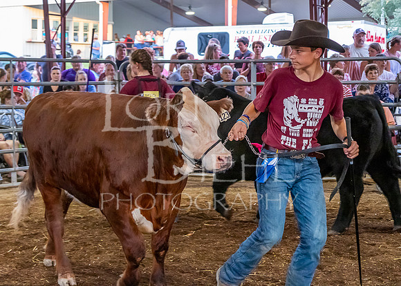 2019-07-10 Jr. Cattle Show - LB-44