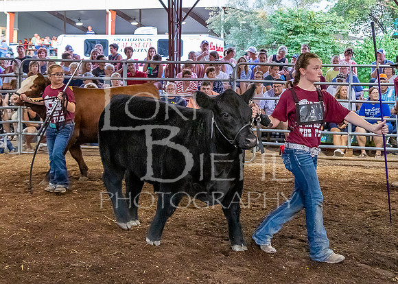 2019-07-10 Jr. Cattle Show - LB-45