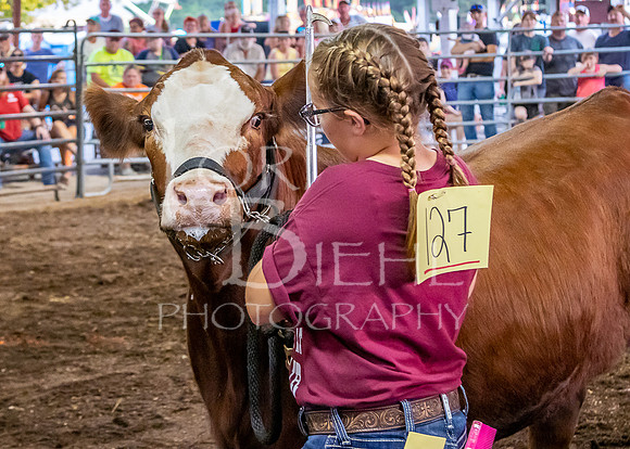 2019-07-10 Jr. Cattle Show - LB-51