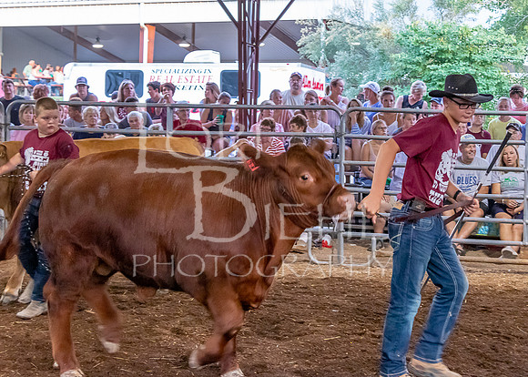 2019-07-10 Jr. Cattle Show - LB-47