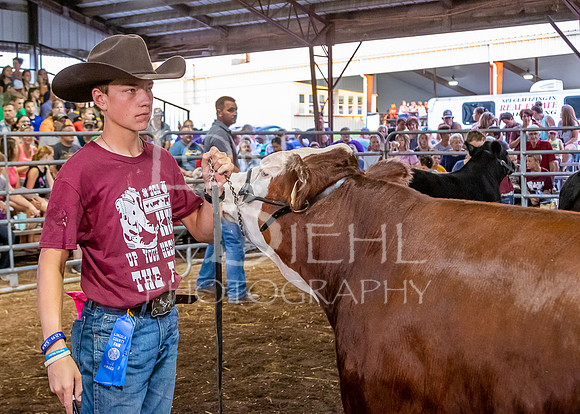 2019-07-10 Jr. Cattle Show - LB-50