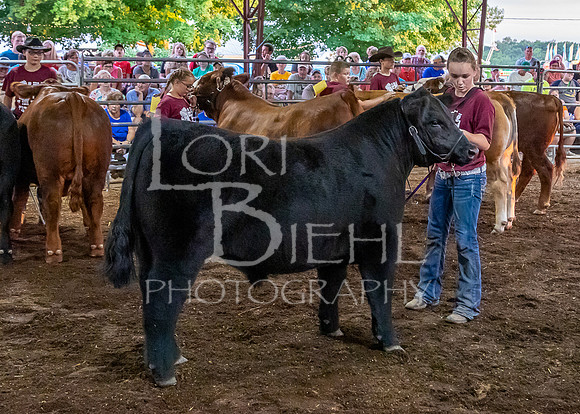 2019-07-10 Jr. Cattle Show - LB-53