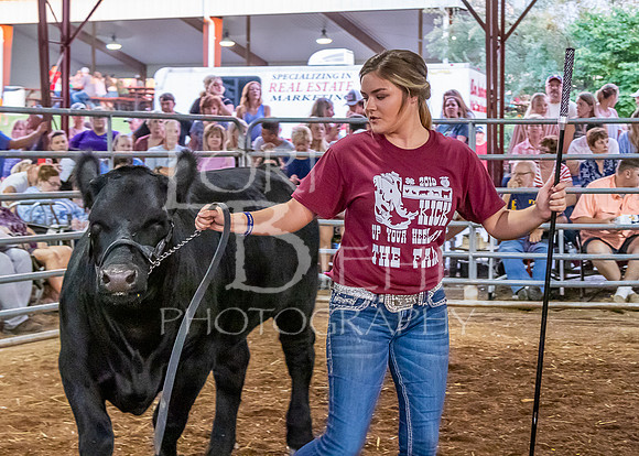 2019-07-10 Jr. Cattle Show - LB-55