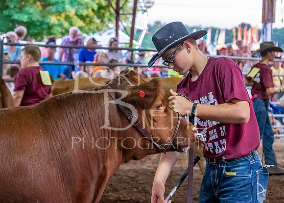 2019-07-10 Jr. Cattle Show - LB-57