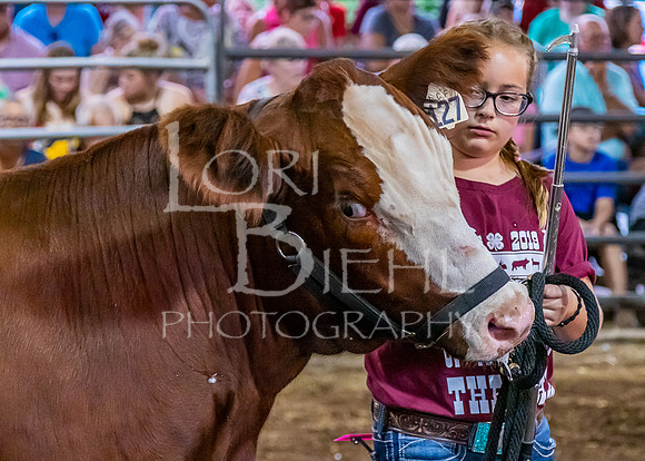 2019-07-10 Jr. Cattle Show - LB-59