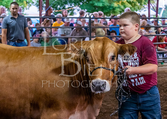 2019-07-10 Jr. Cattle Show - LB-62