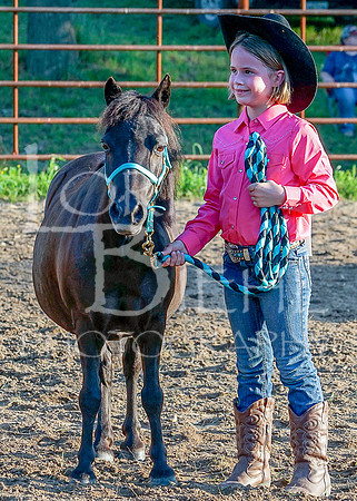 Lincoln County Fair Youth Horse 20190709-069