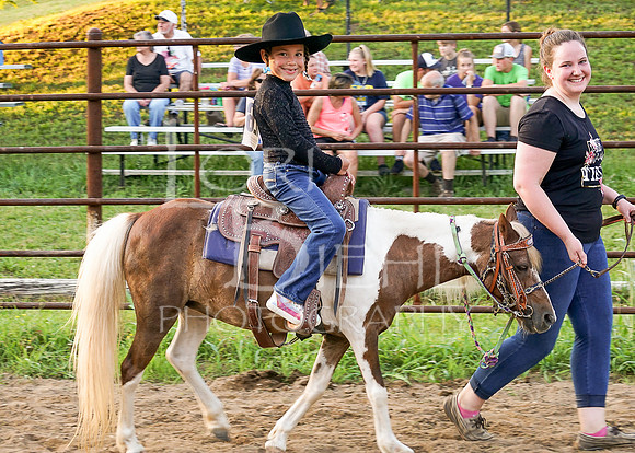 Lincoln County Fair Youth Horse 20190709-139