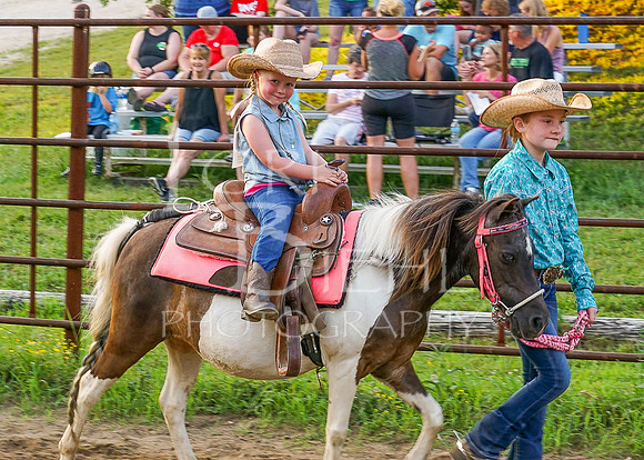 Lincoln County Fair Youth Horse 20190709-141
