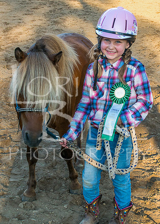 Lincoln County Fair Youth Horse 20190709-248