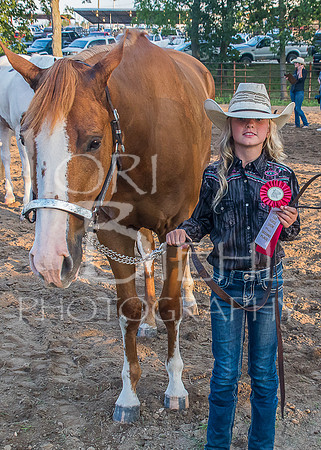 Lincoln County Fair Youth Horse 20190709-256