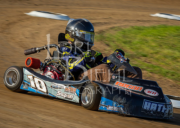 Lil Bullring #1-241