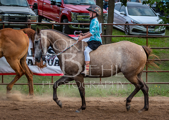 2019-07-11 LCF Open Horse Show - JS-7