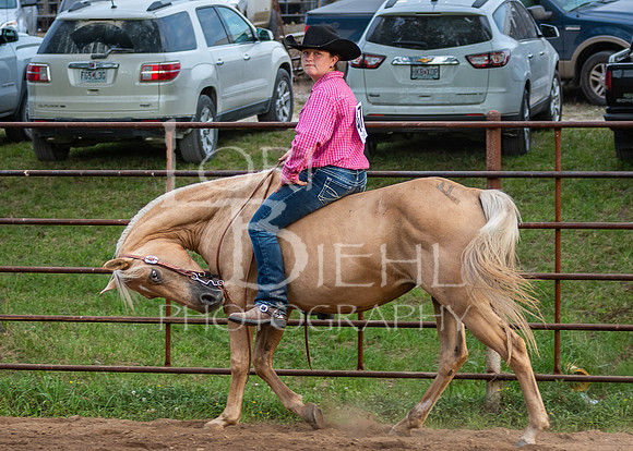 2019-07-11 LCF Open Horse Show - JS-5